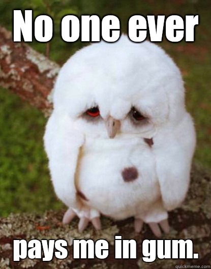  No one ever  pays me in gum.  Depressed Baby Owl