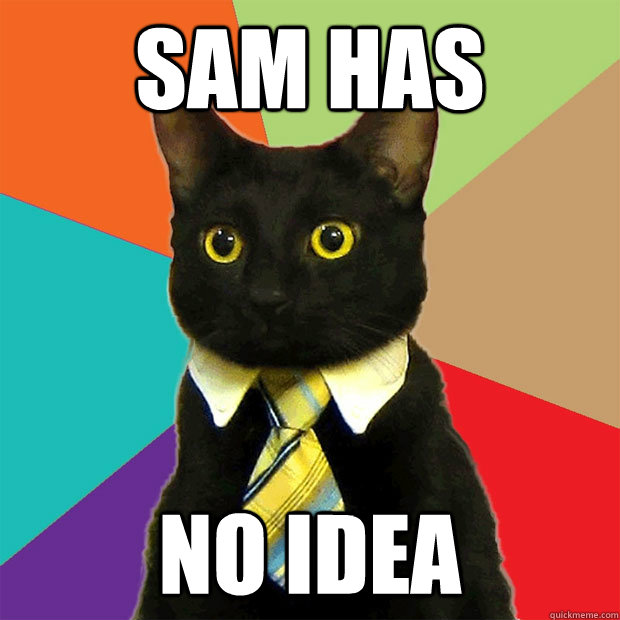 SAM HAS no idea - SAM HAS no idea  Business Cat