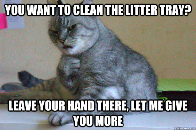 you want to clean the litter tray? leave your hand there, let me give you more - you want to clean the litter tray? leave your hand there, let me give you more  Sadistic Cat
