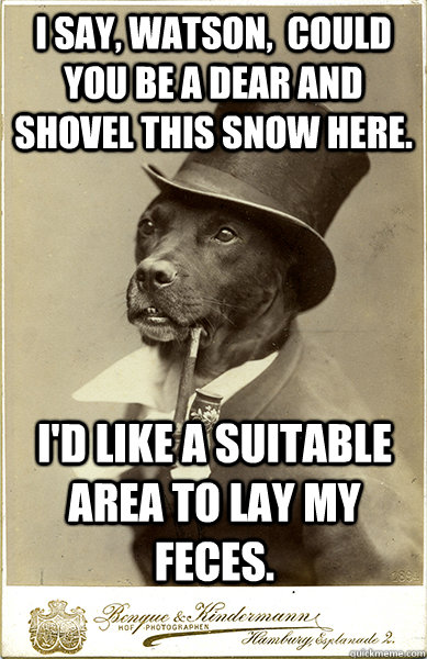 I say, Watson,  could you be a dear and shovel this snow here. I'd like a suitable area to lay my feces. - I say, Watson,  could you be a dear and shovel this snow here. I'd like a suitable area to lay my feces.  Old Money Dog