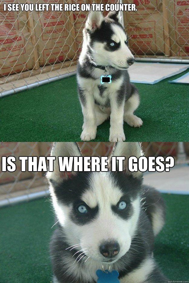 I see you left the rice on the counter. IS THAT WHERE IT GOES?  Insanity puppy