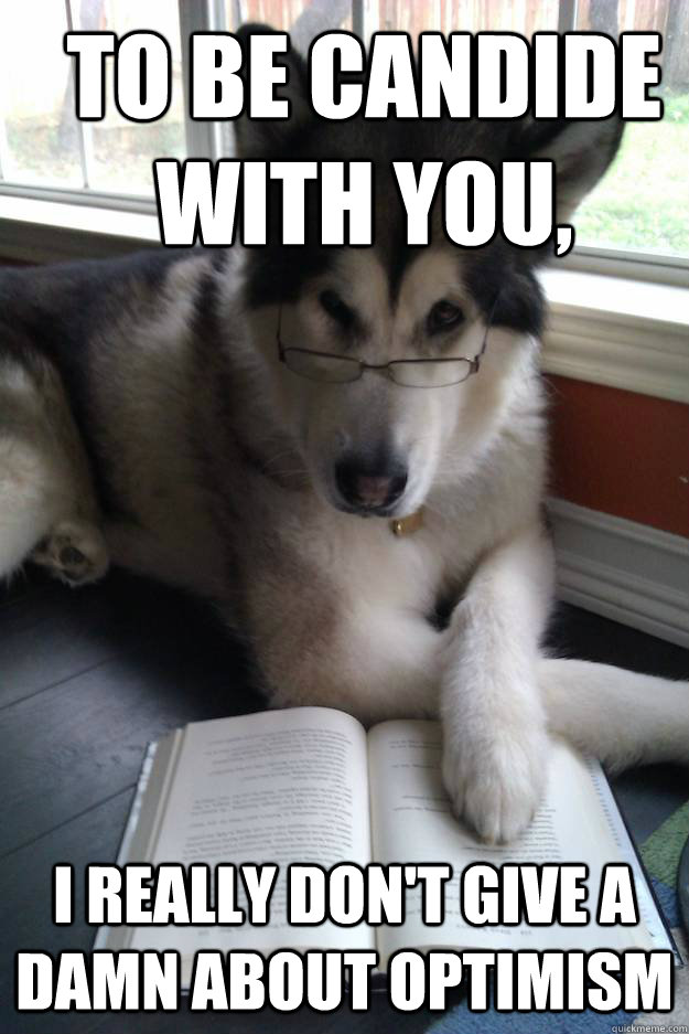to be candide with you, i really don't give a damn about optimism  Condescending Literary Pun Dog