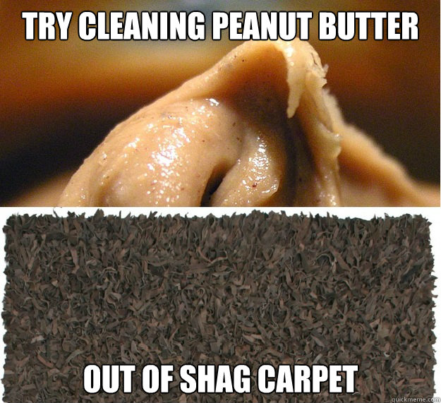 Try cleaning peanut butter  out of shag carpet - Try cleaning peanut butter  out of shag carpet  Misc