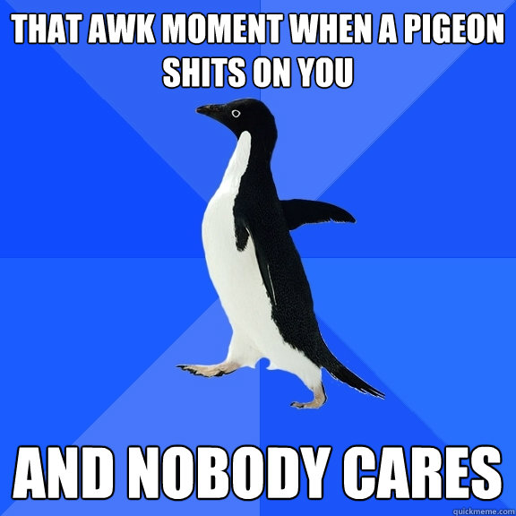 that awk moment when a pigeon shits on you and nobody cares  Socially Awkward Penguin