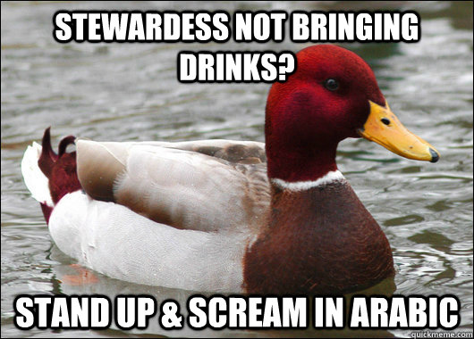 Stewardess not bringing drinks? Stand up & scream in Arabic  Malicious Advice Mallard