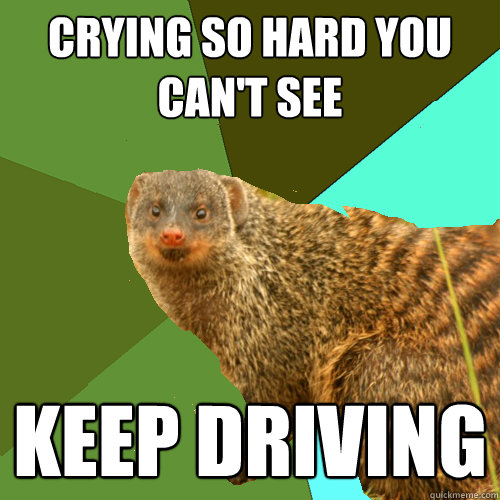 crying so hard you can't see keep driving  Supercrip Mongoose