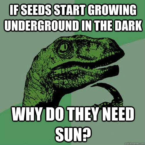 If seeds start growing underground in the dark Why do they need sun?  Philosoraptor