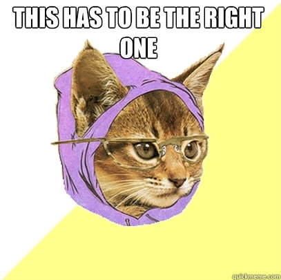 This has to be the right one   Hipster Kitty