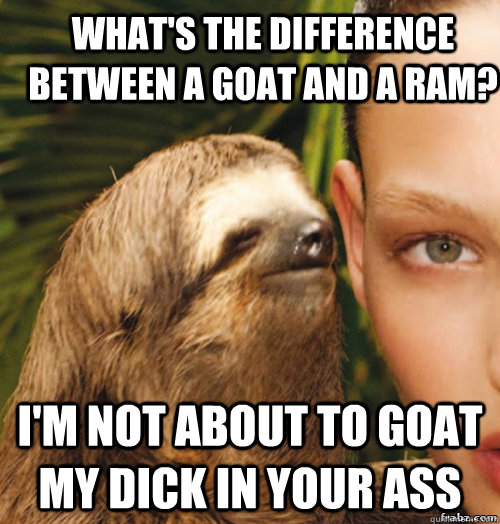 What's the difference between a goat and a ram? I'm not about to goat my dick in your ass  - What's the difference between a goat and a ram? I'm not about to goat my dick in your ass   rape sloth