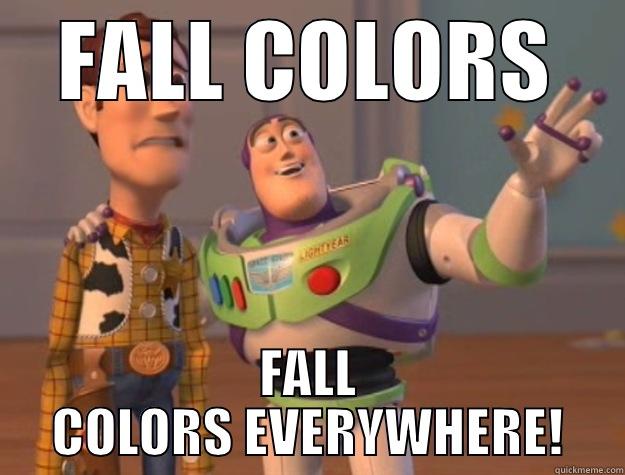 FALL COLORS FALL COLORS EVERYWHERE! Toy Story
