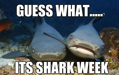 GUESS WHAT..... ITS SHARK WEEK  - GUESS WHAT..... ITS SHARK WEEK   Compassionate Shark Friend