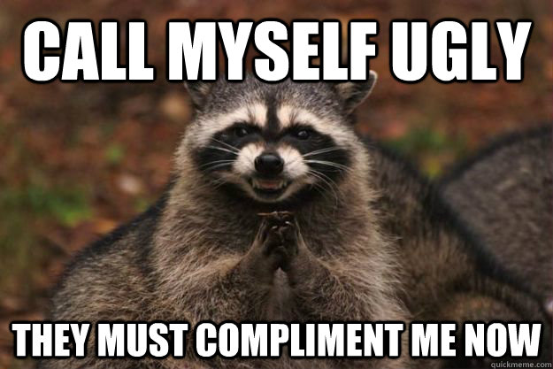 call myself ugly they must compliment me now  Evil Plotting Raccoon