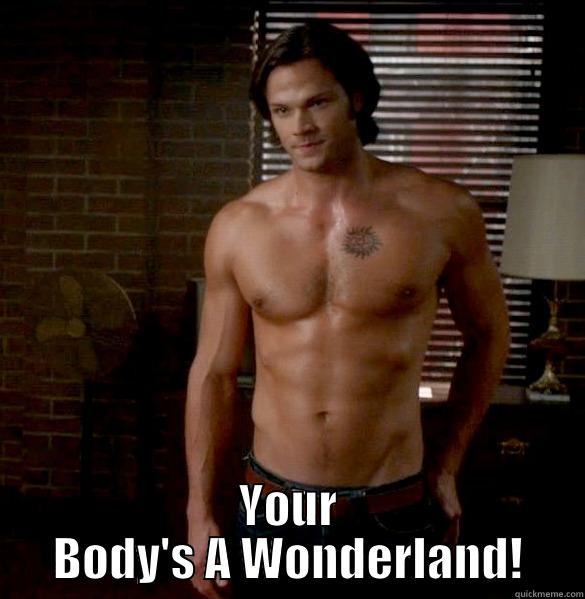  YOUR BODY'S A WONDERLAND! Misc