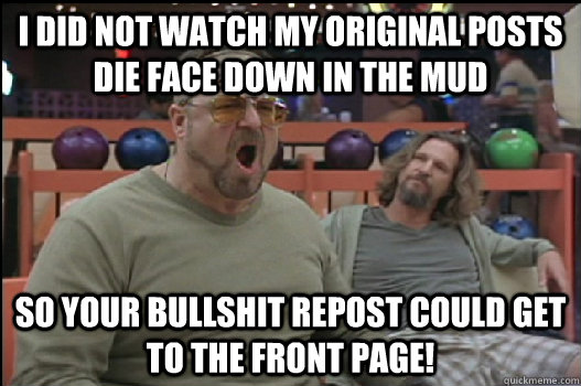 I did not watch my original posts die face down in the mud so your bullshit repost could get to the front page! - I did not watch my original posts die face down in the mud so your bullshit repost could get to the front page!  Angry Walter