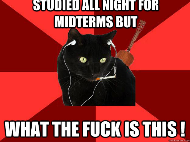 Studied all night for midterms but What the fuck is this !  Berklee Cat