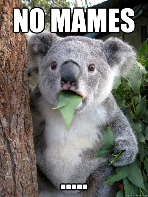NO MAMES .....  Surprised Koala