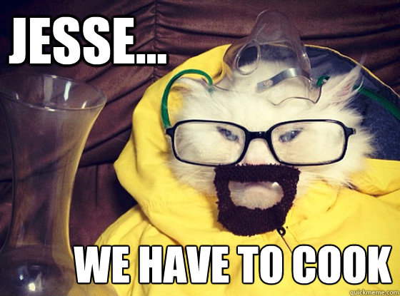 JESSE... WE HAVE TO COOK  Breaking Bad Cat