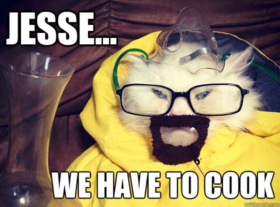 JESSE... WE HAVE TO COOK - JESSE... WE HAVE TO COOK  Breaking Bad Cat