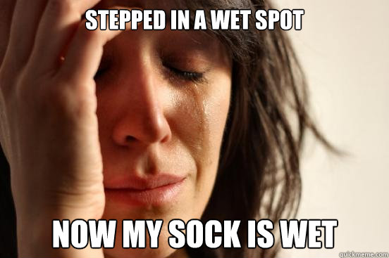 Stepped in a wet spot  Now my sock is wet   First World Problems