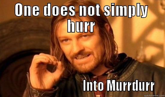ONE DOES NOT SIMPLY HURR                                   INTO MURRDURR Boromir