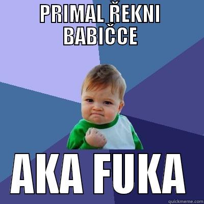 PRIMAL ŘEKNI BABIČCE AKA FUKA Success Kid