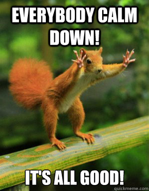 EVERYBODY CALM DOWN! it's all good! - EVERYBODY CALM DOWN! it's all good!  Panic Squirrel