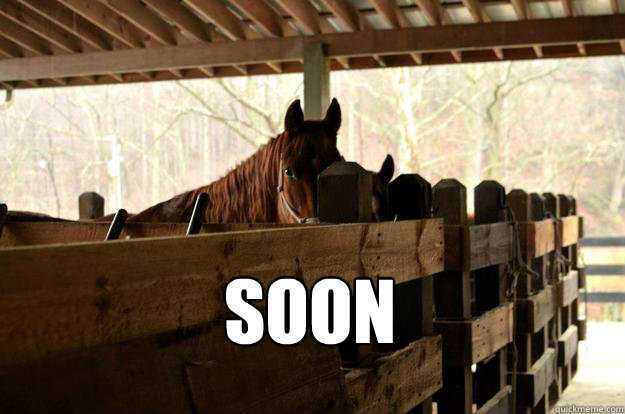 SOON - SOON  Soon horse