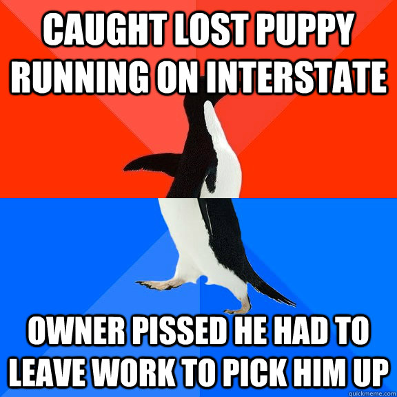 Caught lost puppy running on interstate Owner pissed he had to leave work to pick him up  Socially Awesome Awkward Penguin