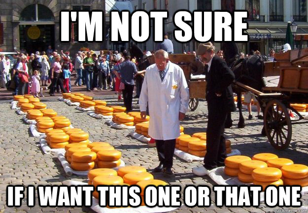 I'm not sure if I want this one or that one  