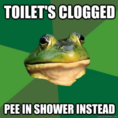 Toilet's clogged Pee in shower instead  Foul Bachelor Frog