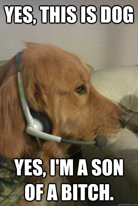 yes, this is dog yes, i'm a son of a bitch. - yes, this is dog yes, i'm a son of a bitch.  Xbox Live Dog