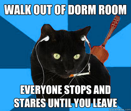 Walk out of dorm room everyone stops and stares until you leave  Socially Awkward Berklee Cat