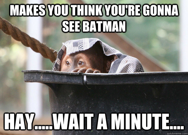 Makes you think you're gonna see batman Hay.....wait a minute.... - Makes you think you're gonna see batman Hay.....wait a minute....  Hidden Agenda Monkey