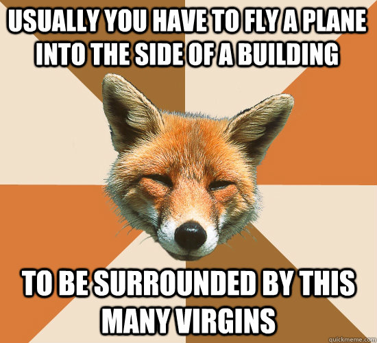 Usually you have to fly a plane into the side of a building To be surrounded by this many virgins  Condescending Fox
