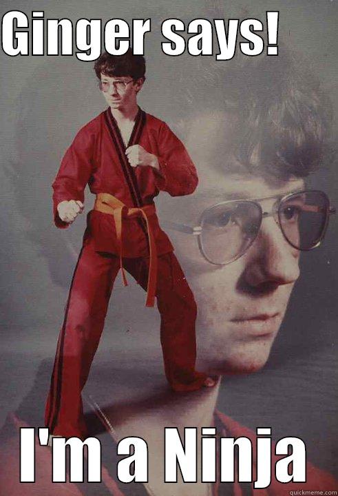 GINGER SAYS!       I'M A NINJA Karate Kyle