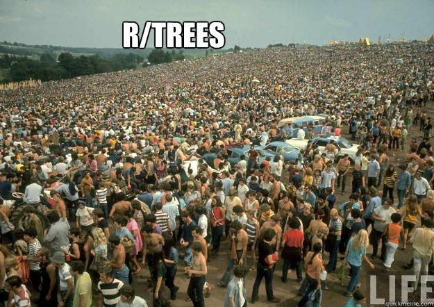 r/trees  Trees
