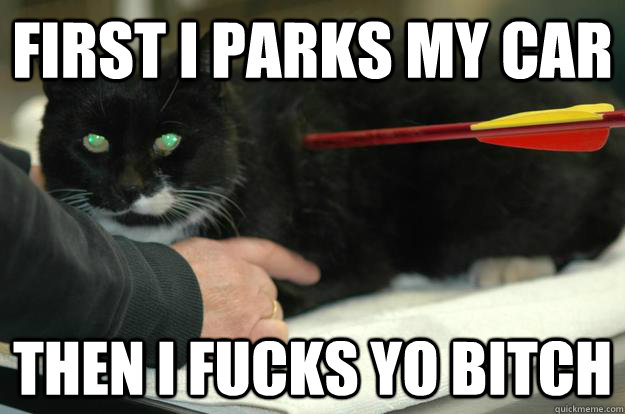 first I parks my car then I fucks yo bitch  Worlds Toughest Cat