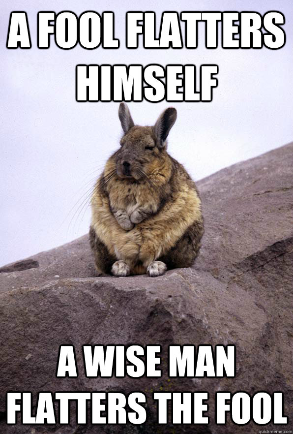 a fool flatters himself a wise man flatters the fool - a fool flatters himself a wise man flatters the fool  Wise Wondering Viscacha