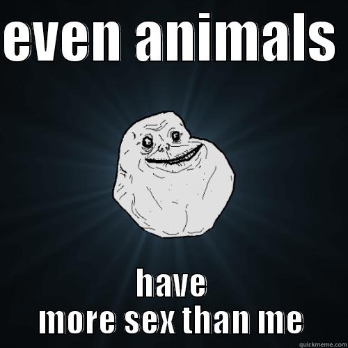 EVEN ANIMALS  HAVE MORE SEX THAN ME Forever Alone