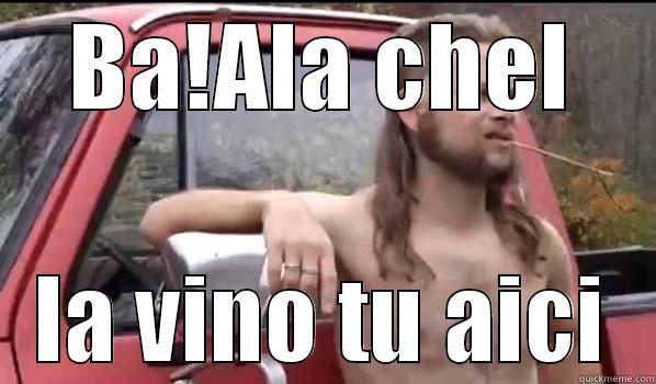 BA!ALA CHEL IA VINO TU AICI Almost Politically Correct Redneck