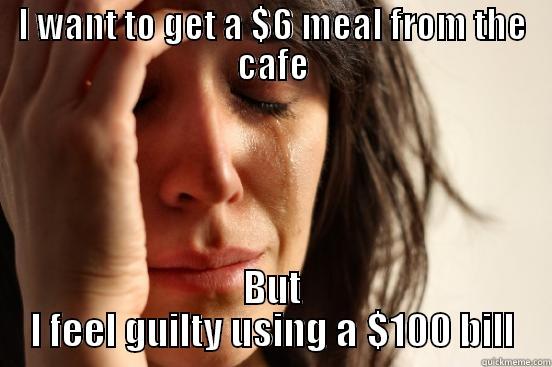 I WANT TO GET A $6 MEAL FROM THE CAFE BUT I FEEL GUILTY USING A $100 BILL First World Problems