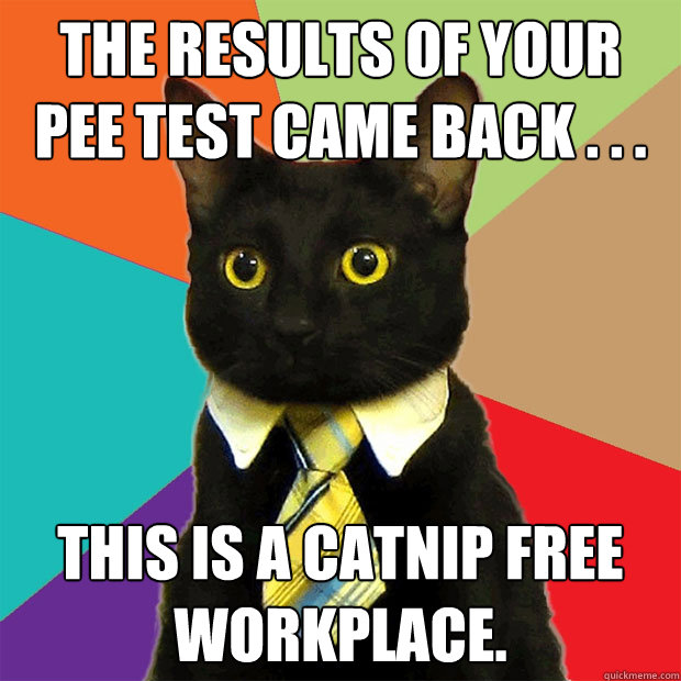 The results of your pee test came back . . .  This is a catnip free workplace.  Business Cat