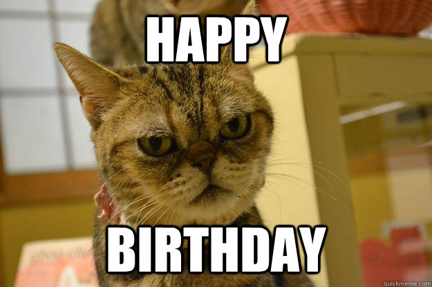 HAPPY BIRTHDAY - HAPPY BIRTHDAY  Angry Cat