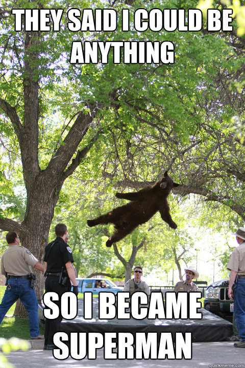 they said i could be anything so i became superman  Boulder Bear