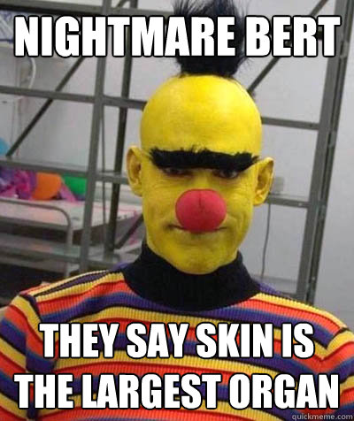 Nightmare Bert They say skin is the largest organ  