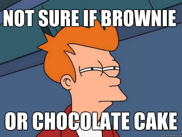 Not sure if Brownie Or chocolate cake - Not sure if Brownie Or chocolate cake  Futurama Fry