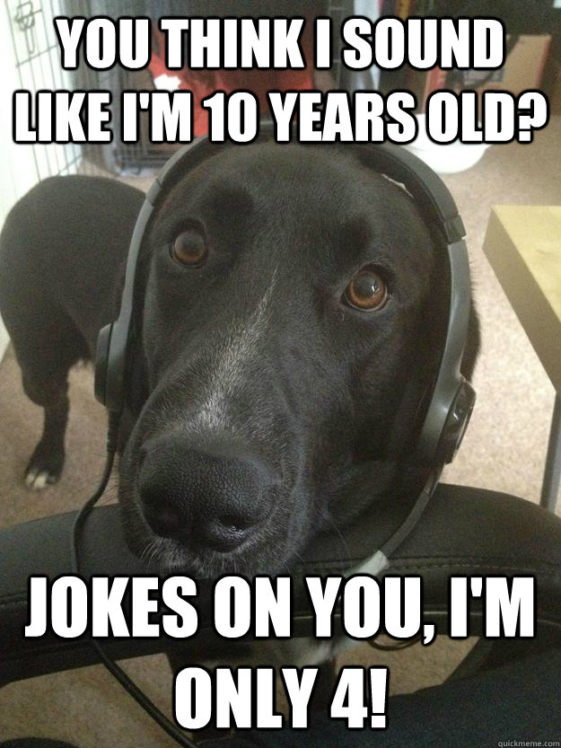 You think I sound like i'm 10 years old? Jokes on you, I'm only 4!  Gamer Dog