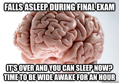 Falls asleep during final exam It's over and you can sleep now? Time to be wide awake for an hour  Scumbag Brain