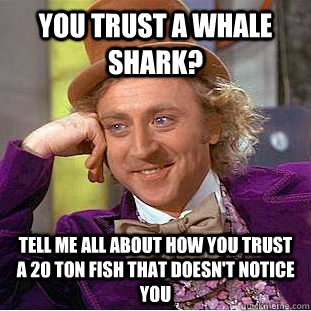you trust a whale shark? Tell me all about how you trust a 20 ton fish that doesn't notice you  Condescending Wonka