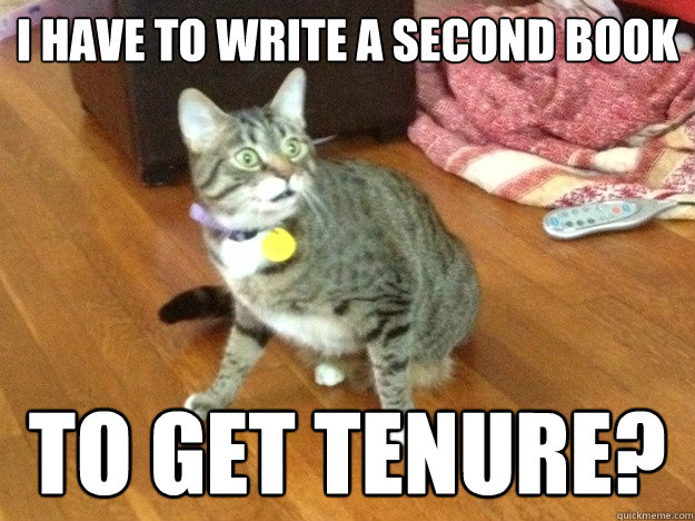 I have to write a second book To get tenure?  Tenure Track Cat